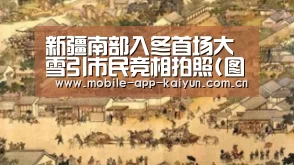 开云官方网站