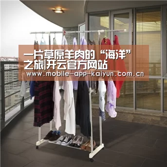 一片草原羊肉的“海洋”之旅|开云官方网站(图1) KAIYUN体育