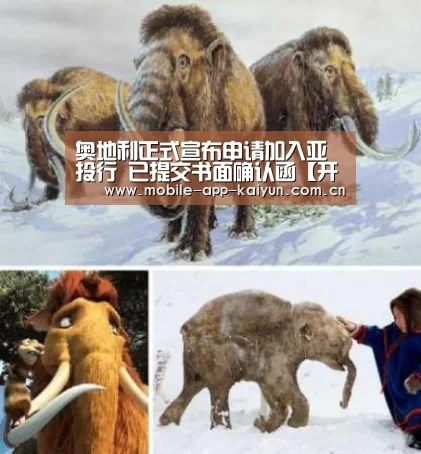 奥地利正式宣布申请加入亚投行 已提交书面确认函【开云体育官网】(图1) 开云赛事直播