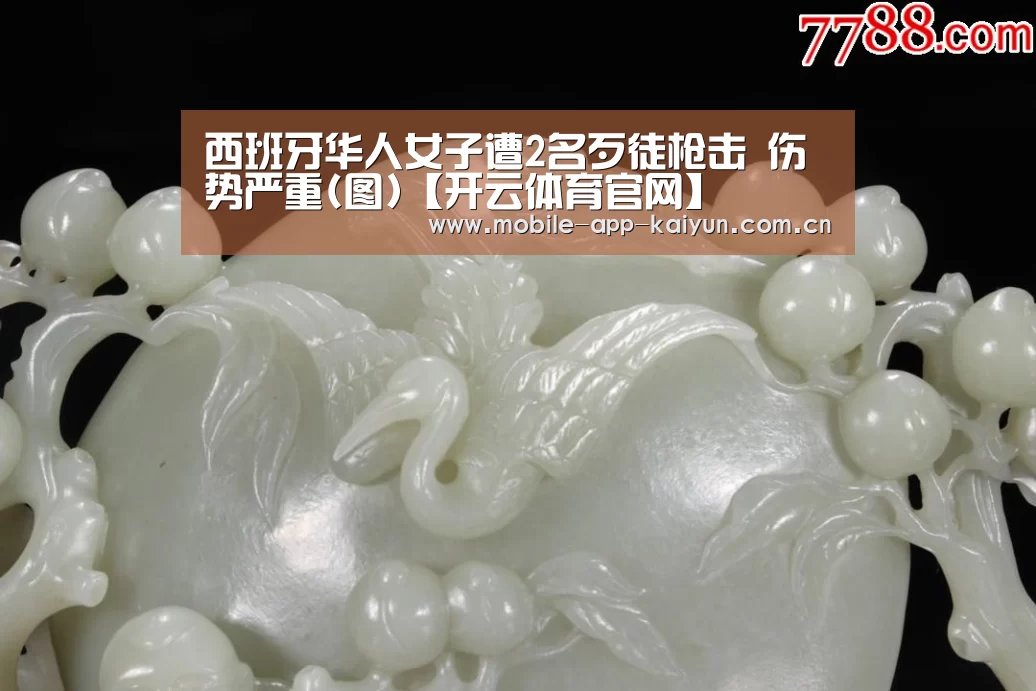 西班牙华人女子遭2名歹徒枪击 伤势严重(图)【开云体育官网】(图1) KAIYUN体育