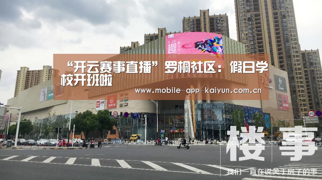 开云官方网站